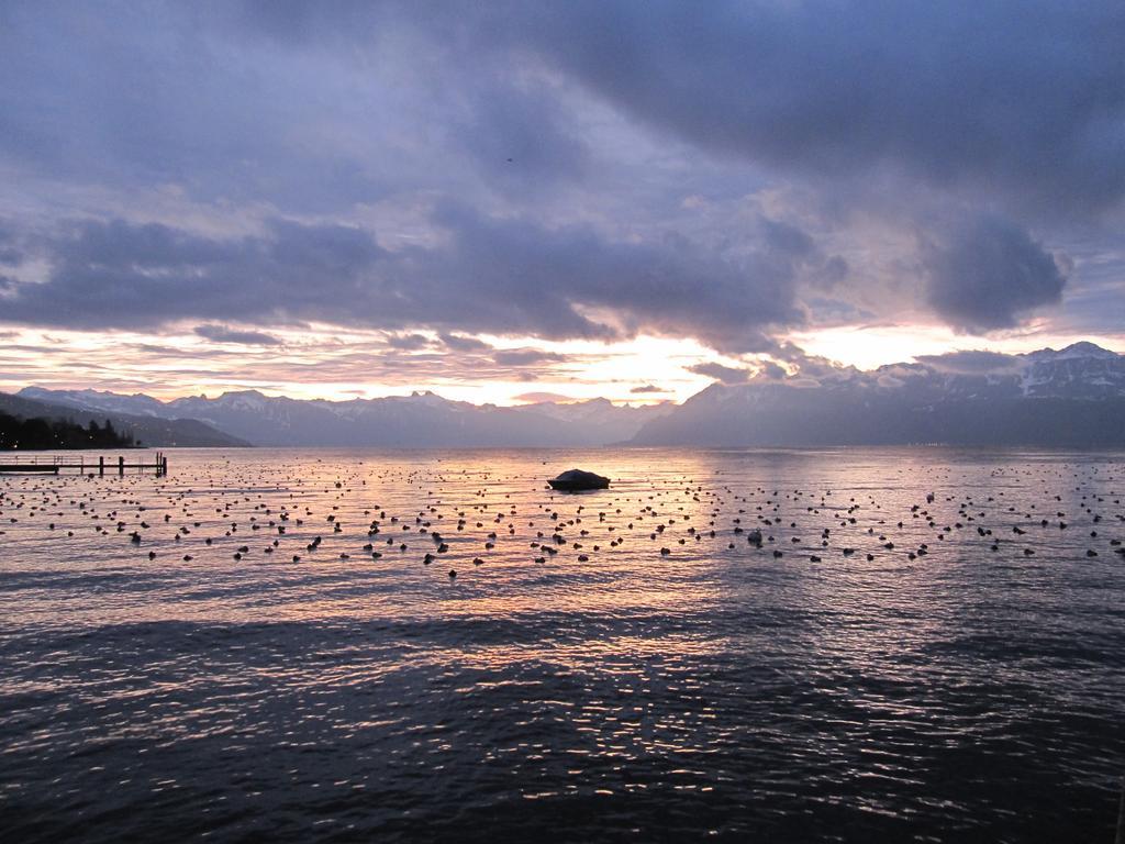 Hotel Du Port Lausanne Kültér fotó